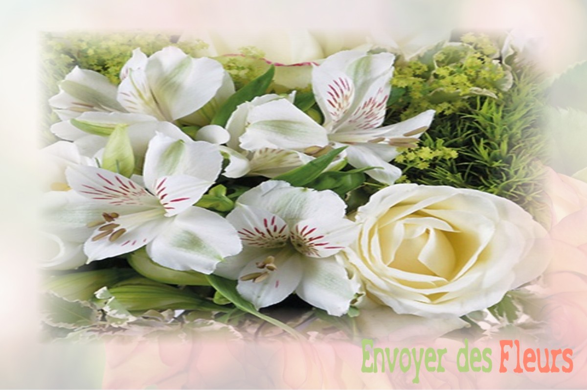 envoyer des fleurs à à OUZOUER-LE-DOYEN